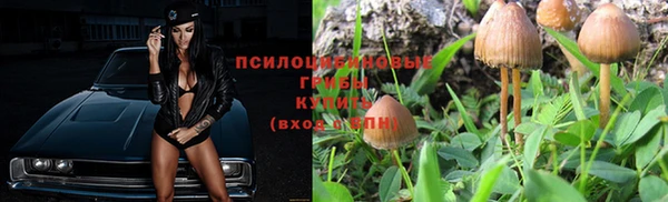 дмт Надым