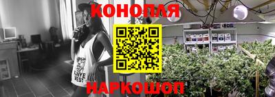 прущие крисы Абакан