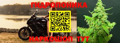 ECSTASY Абинск