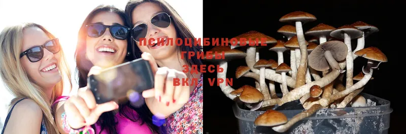 Псилоцибиновые грибы Magic Shrooms  Амурск 