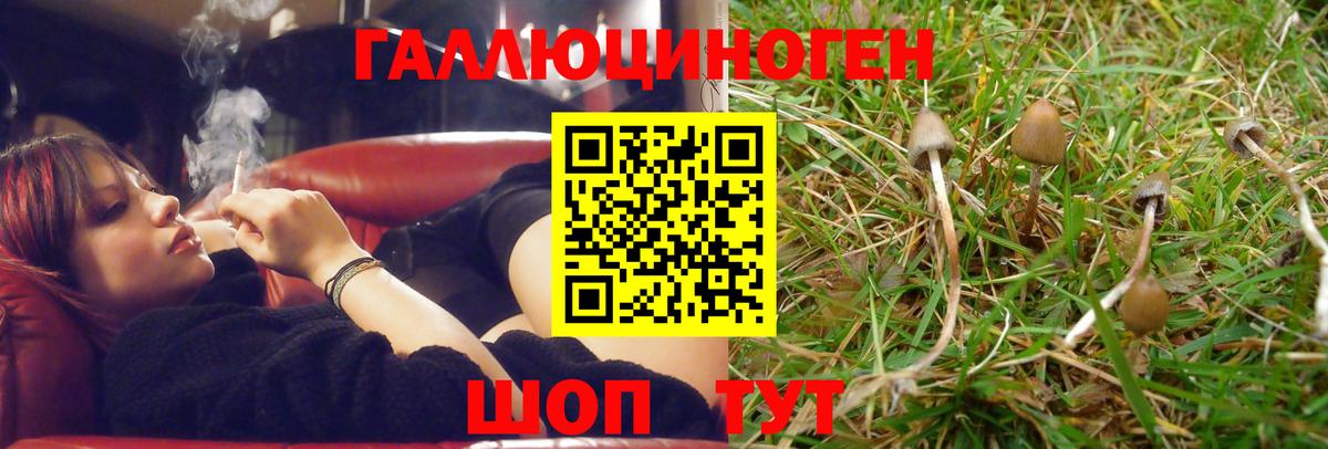 где продают   Вход с VPN  Амурск  Галлюциногенные грибы ЛСД  Галлюциногенные грибы Psilocybine cubensis 