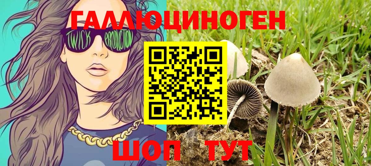Галлюциногенные грибы мухоморы  Псилоцибиновые грибы Psilocybe  Амурск 