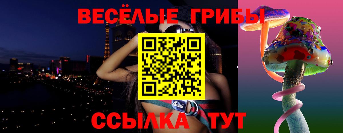 Псилоцибиновые грибы Psilocybine cubensis  Вход с VPN  Галлюциногенные грибы GOLDEN TEACHER  что такое наркотик  Амурск 